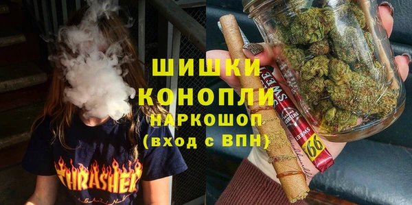 PSILOCYBIN Горнозаводск