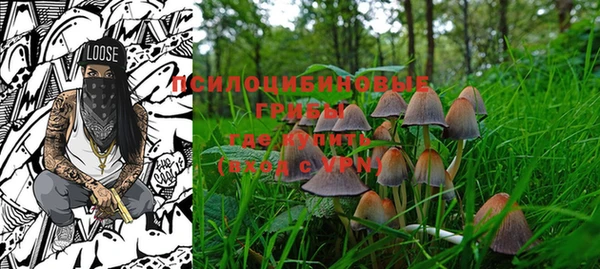 PSILOCYBIN Горнозаводск